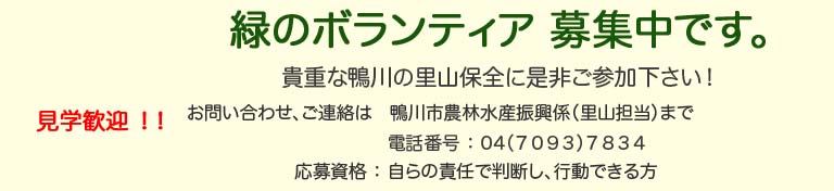 �΂̃{�����e�B�A